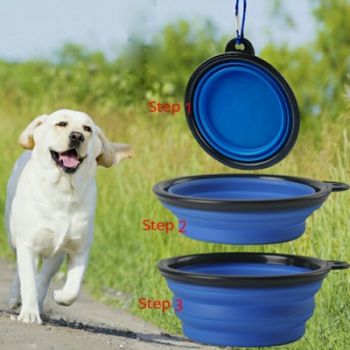 Foldable Expandable Cup Dish for Pet