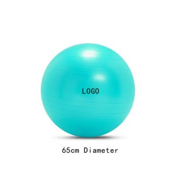 65cm Diameter Balance Stability Yoga Exercise Ball